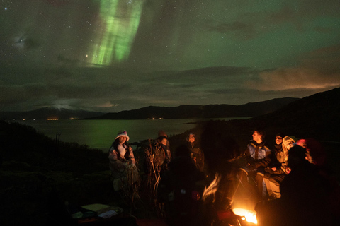Tromsø: Adult Only Aurora hunt with Citizen Science