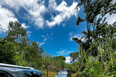 Depuis Medellín : expérience en 4x4 jusqu&#039;aux cascades de la rivière Melcocho