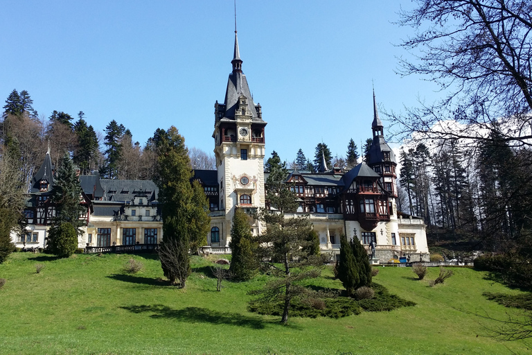 Boekarest: Peles, Kasteel van Dracula &amp; Brasov Tour in kleine groep