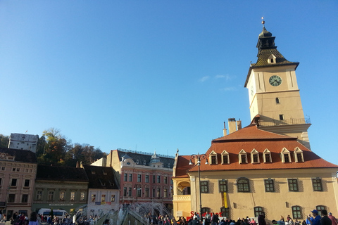 Boekarest: Peles, Kasteel van Dracula &amp; Brasov Tour in kleine groep