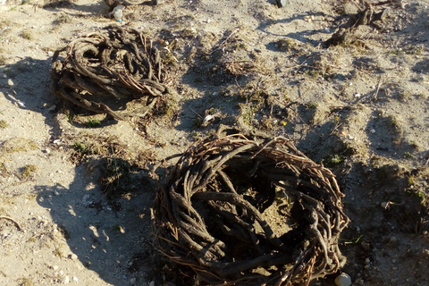 Santorini: Wine Tasting Tour & Sunset Viewing