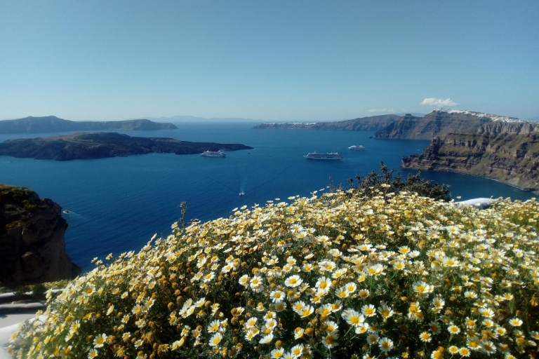 Santorini: Visita turística privada de medio díaRecorrido en grupo compartido