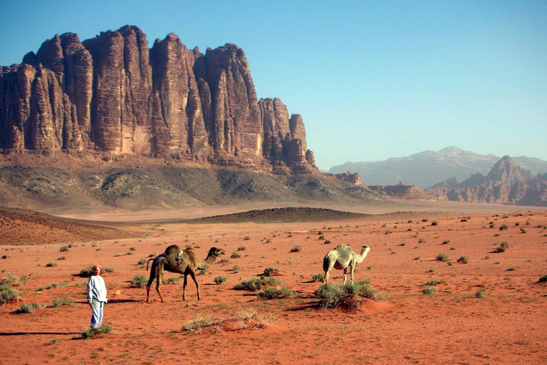 D'Aqaba: visite d'une journée à Petra