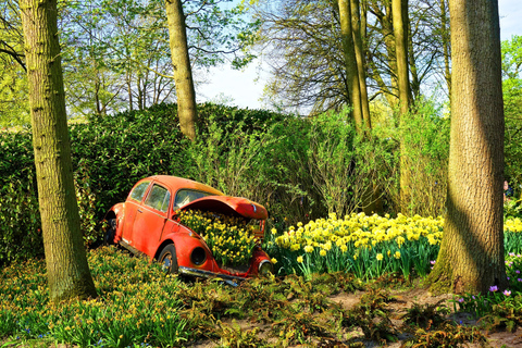 Amsterdam: Keukenhof Gardens Private Sightseeing Tour