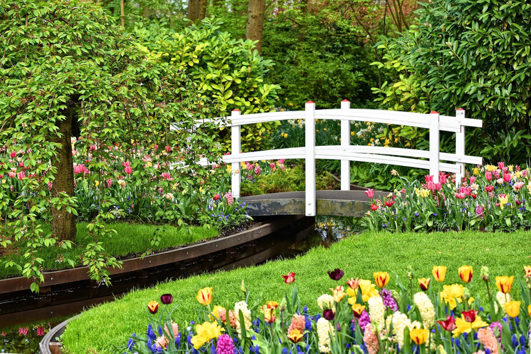 Amsterdam: Keukenhof Gardens Private Sightseeing Tour