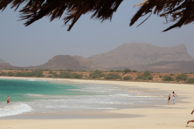 Strandtour in Santa MonicaStandaard Optie