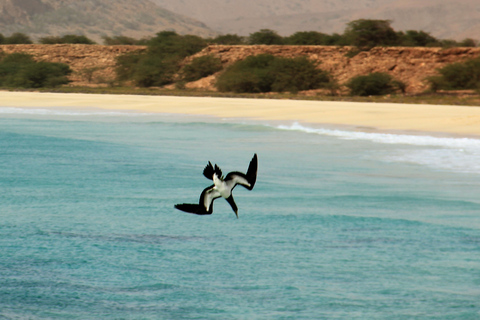 Strandtour in Santa MonicaStandaard Optie