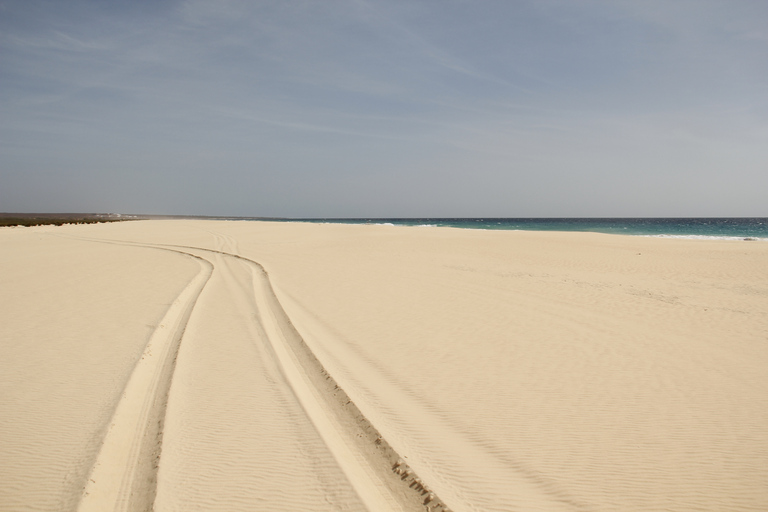 Strandtour in Santa MonicaStandaard Optie
