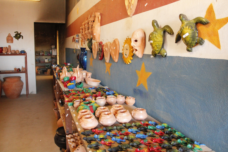 Boa Vista: Wrak statku, przejażdżka 4x4 i wycieczka do jaskiń z lunchem