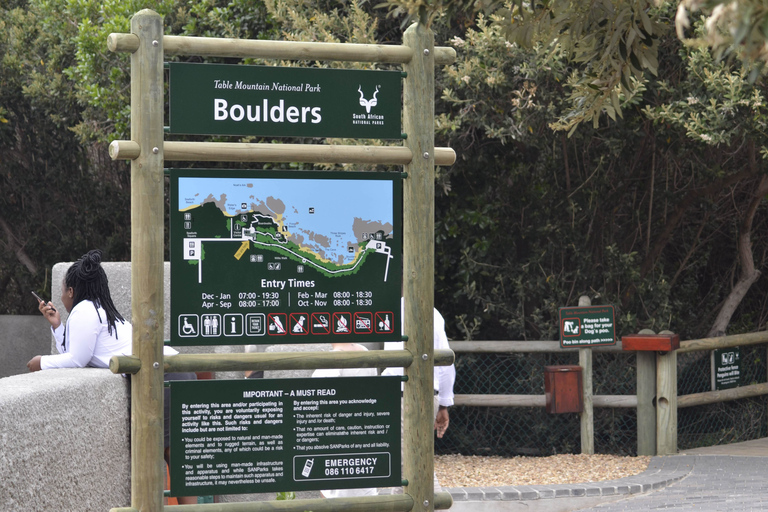 Half Day Trip to Boulders Beach Penguin ColonyKapsztad: Coastal Village Tour i Penguin Beach Visit