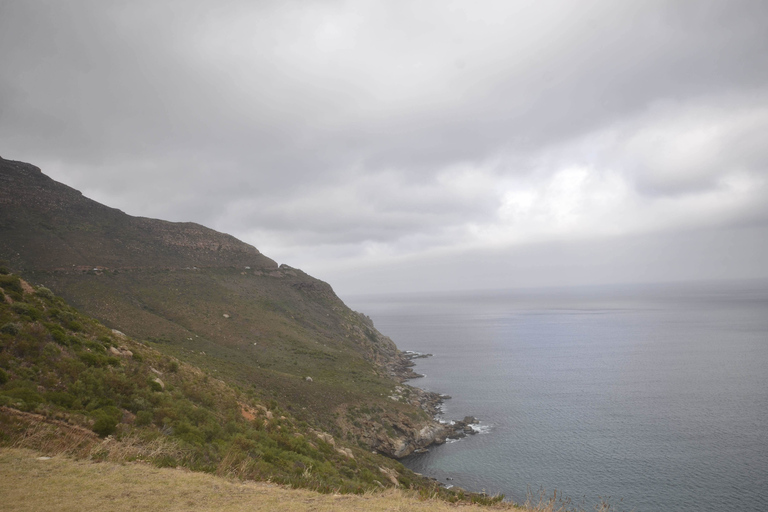 Halve dagtrip naar Boulders Beach Penguin ColonyKaapstad: Coastal Village Tour en Penguin Beach Visit