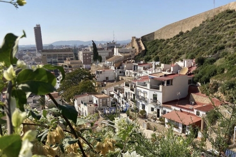 Alicante: tour de los 7 secretos de Alicante