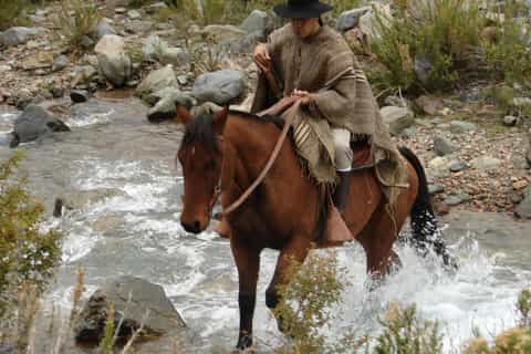 mendoza passeio a cavalo nos andes com churrasco autêntico