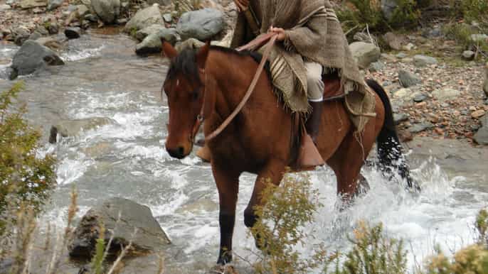 mendoza horseback riding in the andes with authentic bbq