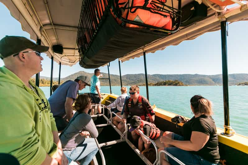 Airlie Beach: Glass-Bottom Boat Tour | GetYourGuide