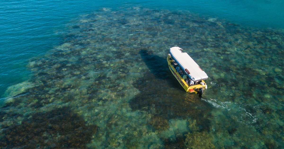 Airlie Beach GlassBottom Boat Tour GetYourGuide