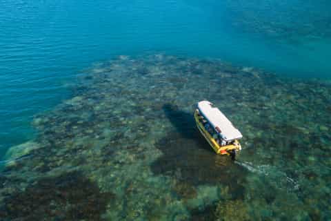 Airlie Beach: Glass-Bottom Boat Tour