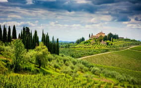 Half Day Escape to Chianti: Taste the Heart of Tuscany