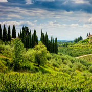 Half Day Escape to Chianti: Taste the Heart of Tuscany