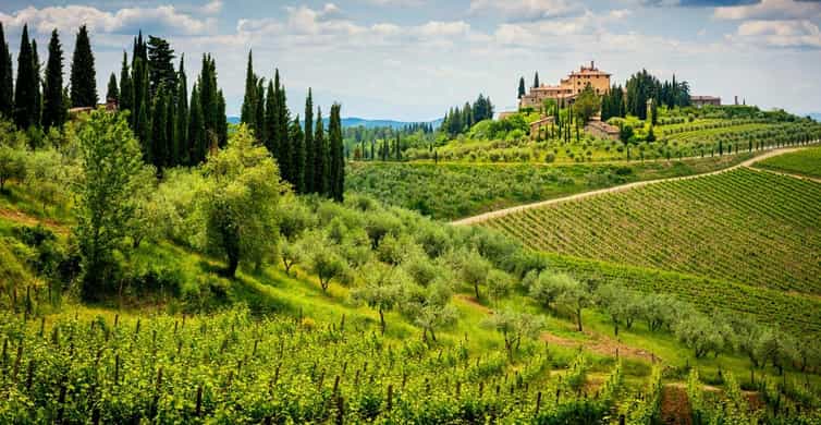 Half Day Escape to Chianti: Taste the Heart of Tuscany