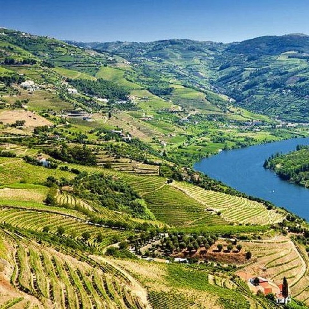 Colagem de mídia