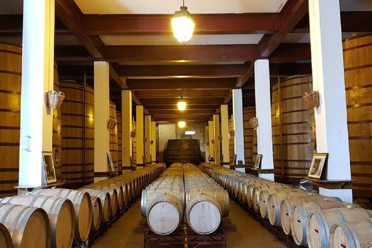 Douro Valley: Full-Day Private Tour z Porto