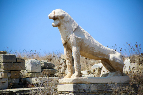 Mykonos: Delos & Rhenia Bootstour mit Mittagessen & TransferTreffpunkt