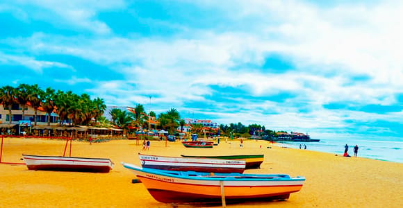 Sal Island: Guided Full-Day Highlights Tour with Lunch