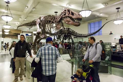 New York: American Museum of Natural History Family Tour