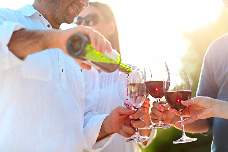 D'Albufeira: visite de dégustation de vin et visite de Silves