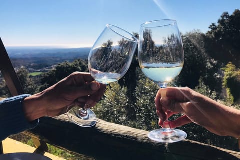 Da Albufeira: tour di degustazione di vini di un'intera giornata con una guida
