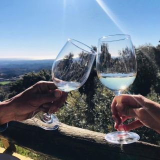 Da Albufeira: tour di degustazione di vini di un'intera giornata con una guida
