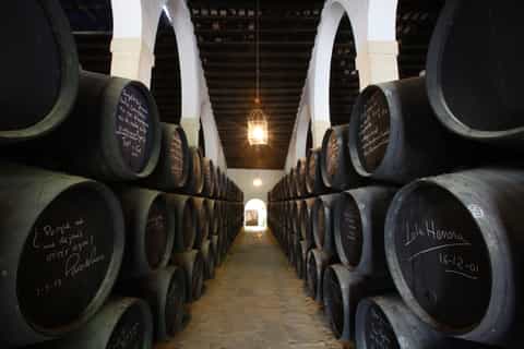 jerez tour guiado a las bodegas tío pepe con catas