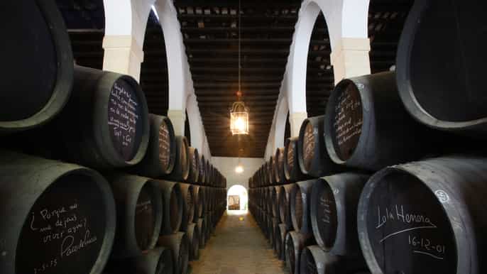 jerez bodegas tío pepe guided tour with tastings