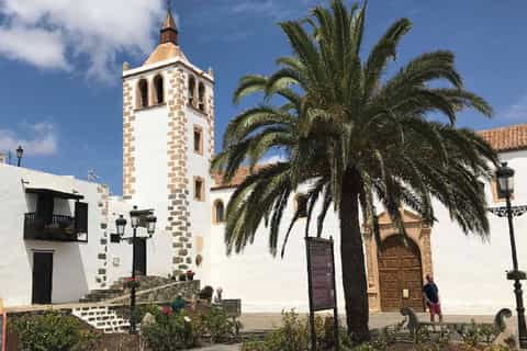Fuerteventura: Island Tour with Goat Farm & Aloe Factory