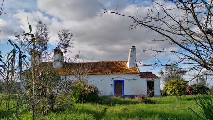 Évora floresta da cortiça e caminhada no círculo de pedra dos almendres