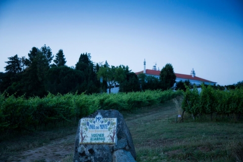 Ab Lissabon: Tagestour rund um die Weine von ÉvoraAb Lissabon: Wein-Tagestour durch Évora ohne Mittagessen