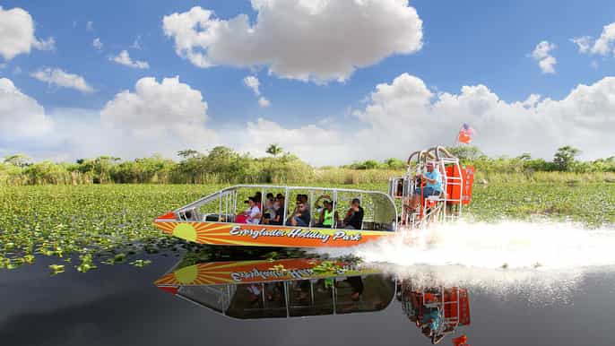 everglades giro in airboat e spettacolo faunistico da miami