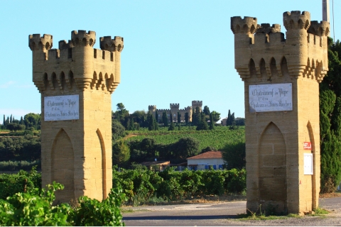 Avignon: Ganztagestour durch die Weinregion Châteauneuf-du-PapeAvignon: Ganztägige Weintour um Châteauneuf-du-Pape