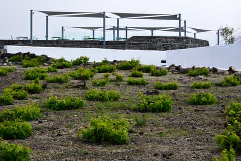 santorini private sunset wine tour
