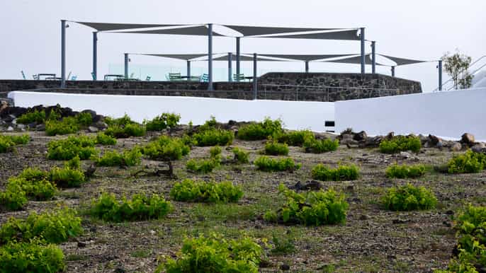 santorini private sunset wine tour