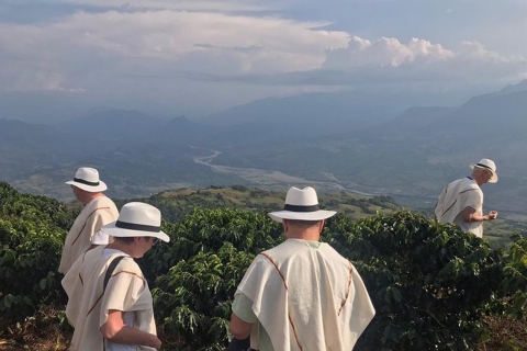 From Medellin: Full day Fredonia coffee private tour From Medellin: Coffee Plantation Full-Day Private Tour