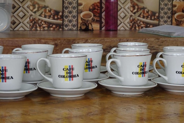 Z Medellin: Całodniowa prywatna wycieczka po kawie FredoniaZ Medellin: Całodniowa prywatna wycieczka na plantację kawy