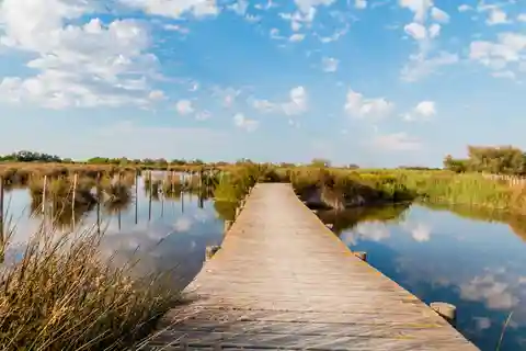 Von Avignon: Halbtägige Camargue und Saintes-Maries-de-la-Mer