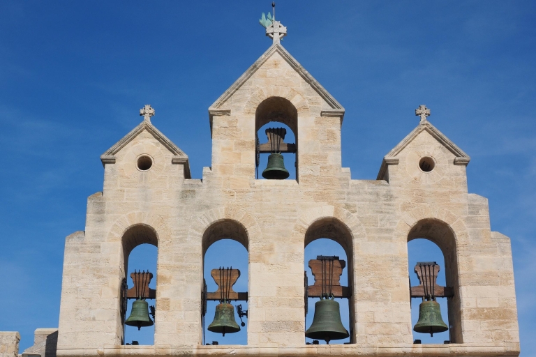 Vanuit Avignon: Camargue voor een halve dag en Saintes-Maries-de-la-Mer
