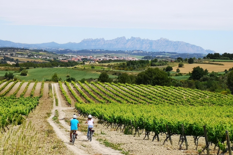 Penedès: Self-Guided Bike Tour with Winery Visit
