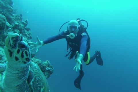 Park Narodowy Ras Muhammad: Wycieczka łodzią nurkową z SharmNight Dive