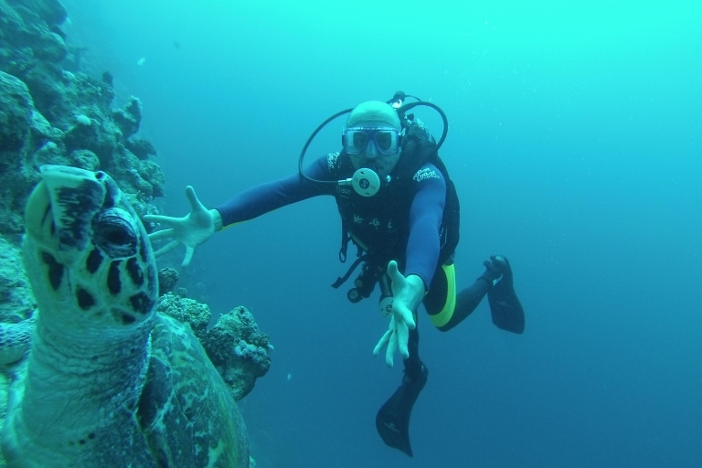 Ras Muhammad National Park: duikboottocht vanuit Sharm3-daagse boottocht met 6 duiken