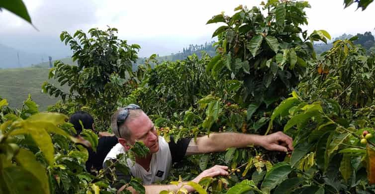 From Medellín: Taste Of Coffee And Roastery 