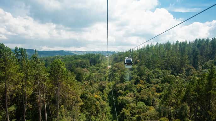 medellin guided nature discovery tour